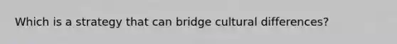 Which is a strategy that can bridge cultural differences?