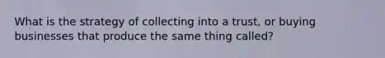 What is the strategy of collecting into a trust, or buying businesses that produce the same thing called?