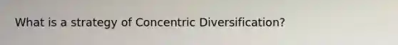 What is a strategy of Concentric Diversification?