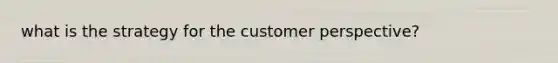 what is the strategy for the customer perspective?