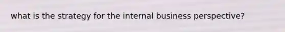 what is the strategy for the internal business perspective?