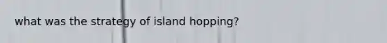 what was the strategy of island hopping?