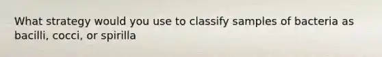 What strategy would you use to classify samples of bacteria as bacilli, cocci, or spirilla