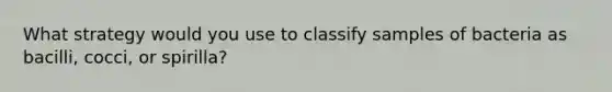 What strategy would you use to classify samples of bacteria as bacilli, cocci, or spirilla?