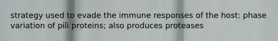 strategy used to evade the <a href='https://www.questionai.com/knowledge/krhPdp6cmU-immune-response' class='anchor-knowledge'>immune response</a>s of the host: phase variation of pili proteins; also produces proteases