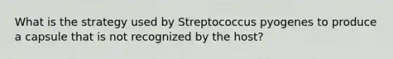 What is the strategy used by Streptococcus pyogenes to produce a capsule that is not recognized by the host?