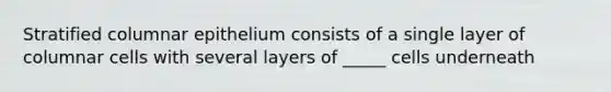 Stratified columnar epithelium consists of a single layer of columnar cells with several layers of _____ cells underneath