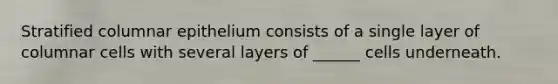 Stratified columnar epithelium consists of a single layer of columnar cells with several layers of ______ cells underneath.