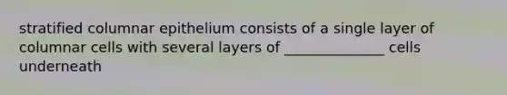 stratified columnar epithelium consists of a single layer of columnar cells with several layers of ______________ cells underneath