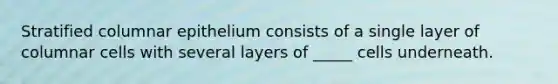 Stratified columnar epithelium consists of a single layer of columnar cells with several layers of _____ cells underneath.