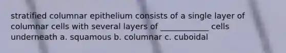 stratified columnar epithelium consists of a single layer of columnar cells with several layers of ____________ cells underneath a. squamous b. columnar c. cuboidal