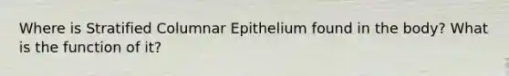 Where is Stratified Columnar Epithelium found in the body? What is the function of it?