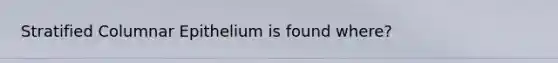 Stratified Columnar Epithelium is found where?