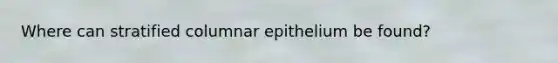 Where can stratified columnar epithelium be found?