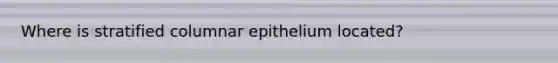 Where is stratified columnar epithelium located?