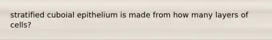 stratified cuboial epithelium is made from how many layers of cells?