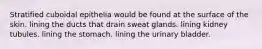 Stratified cuboidal epithelia would be found at the surface of the skin. lining the ducts that drain sweat glands. lining kidney tubules. lining the stomach. lining the urinary bladder.