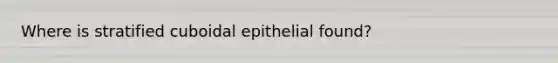 Where is stratified cuboidal epithelial found?