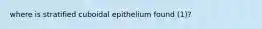 where is stratified cuboidal epithelium found (1)?