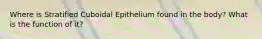 Where is Stratified Cuboidal Epithelium found in the body? What is the function of it?