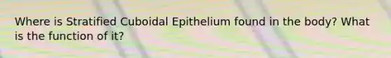 Where is Stratified Cuboidal Epithelium found in the body? What is the function of it?