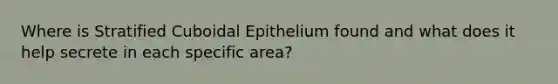 Where is Stratified Cuboidal Epithelium found and what does it help secrete in each specific area?