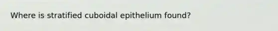 Where is stratified cuboidal epithelium found?