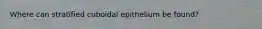 Where can stratified cuboidal epithelium be found?