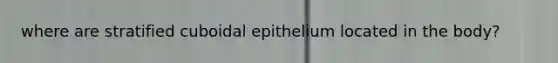 where are stratified cuboidal epithelium located in the body?