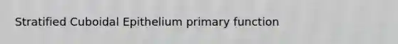 Stratified Cuboidal Epithelium primary function