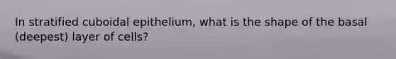 In stratified cuboidal epithelium, what is the shape of the basal (deepest) layer of cells?