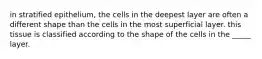 in stratified epithelium, the cells in the deepest layer are often a different shape than the cells in the most superficial layer. this tissue is classified according to the shape of the cells in the _____ layer.