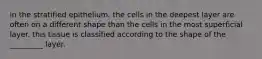 in the stratified epithelium, the cells in the deepest layer are often on a different shape than the cells in the most superficial layer. this tissue is classified according to the shape of the _________ layer.