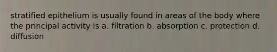 stratified epithelium is usually found in areas of the body where the principal activity is a. filtration b. absorption c. protection d. diffusion