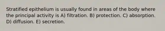 Stratified epithelium is usually found in areas of the body where the principal activity is A) filtration. B) protection. C) absorption. D) diffusion. E) secretion.