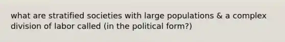 what are stratified societies with large populations & a complex division of labor called (in the political form?)