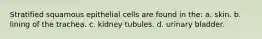 Stratified squamous epithelial cells are found in the: a. skin. b. lining of the trachea. c. kidney tubules. d. urinary bladder.