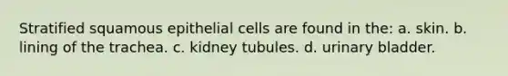 Stratified squamous epithelial cells are found in the: a. skin. b. lining of the trachea. c. kidney tubules. d. urinary bladder.