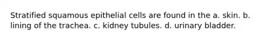 Stratified squamous epithelial cells are found in the a. skin. b. lining of the trachea. c. kidney tubules. d. urinary bladder.