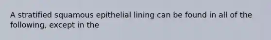 A stratified squamous epithelial lining can be found in all of the following, except in the