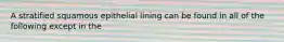 A stratified squamous epithelial lining can be found in all of the following except in the