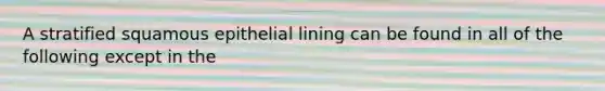 A stratified squamous epithelial lining can be found in all of the following except in the