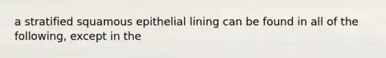 a stratified squamous epithelial lining can be found in all of the following, except in the