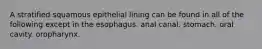 A stratified squamous epithelial lining can be found in all of the following except in the esophagus. anal canal. stomach. oral cavity. oropharynx.