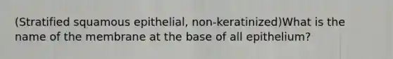 (Stratified squamous epithelial, non-keratinized)What is the name of the membrane at the base of all epithelium?