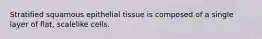 Stratified squamous epithelial tissue is composed of a single layer of flat, scalelike cells.