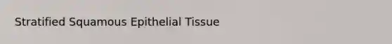 Stratified Squamous <a href='https://www.questionai.com/knowledge/k7dms5lrVY-epithelial-tissue' class='anchor-knowledge'>epithelial tissue</a>