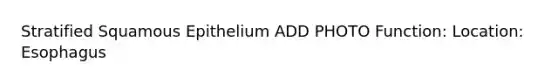Stratified Squamous Epithelium ADD PHOTO Function: Location: Esophagus