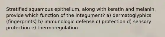 Stratified squamous epithelium, along with keratin and melanin, provide which function of the integument? a) dermatoglyphics (fingerprints) b) immunologic defense c) protection d) sensory protection e) thermoregulation