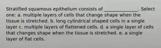 Stratified squamous epithelium consists of _______________. Select one: a. multiple layers of cells that change shape when the tissue is stretched. b. long cylindrical shaped cells in a single layer c. multiple layers of flattened cells. d. a single layer of cells that changes shape when the tissue is stretched. e. a single layer of flat cells.